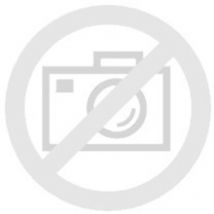 RaidSonic Raidsonic ICY BOX IB-SH101-CH Support 3en1 pliable (61095)