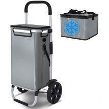 Chariot de course pliable aluminium 2 roues avec sac isotherme gris