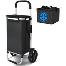 Chariot de course pliable aluminium 2 roues avec sac isotherme noir