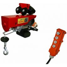 Varan Motors - var-PA300C Chariot Mobile palan électrique roulant 230V 150 / 300KG 600W avec télécommande 4 fonctions