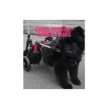 Chariot pour chiens à mobilité réduite Désignation : Chariot PETIT Taille : S MORIN 500751