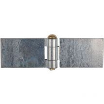 Clemenson - Charnière à souder 3 nœuds D12 Charlam Dimension (mm) : 40x60