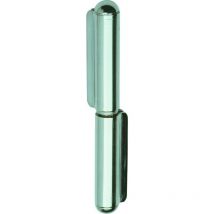 Aldeghi Luigi Spa - Charnière à souder en acier inoxydable art.1223 mm.60 goupille fixe 5 pcs. - Salle de repos