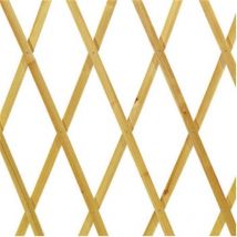 Charpente en bois naturel extensible
