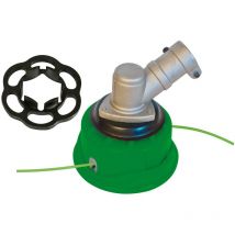 Chats verts chats cotons de vent de ventade