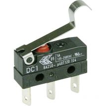DC1C-L1SC Microrupteur DC1C-L1SC 250 v/ac 6 a 1 x On/(On) IP67 à rappel 1 pc(s) D71482 - ZF