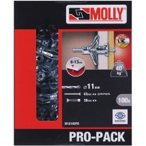Pro-pack - 100 chevilles métal à exp ø 5 x 36 mm avec vis M5 Molly M16100PB-XJ
