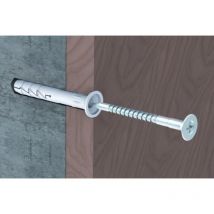 Chevilles à frapper nylon tête plate 5 x 30 en boîte de 100 - rawl