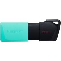 Kingston - Pen Drive 256Gb Datatraveler Exodia m Usb 3.2 Gen1 (Dtxm/256Gb)