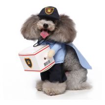 Chien Stand Up Vêtements pour chiens drôles Stand Up Dress Up(courrier m)