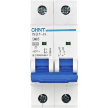 Chint - 179651 NB1-63 2P B40 6kA db Leitungsschutzschalter 2polig 40 a 240 v, 415 v