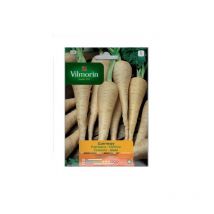 ChirivÐ Samen Guernesey Vilmorin 7g