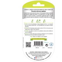 Graines Chou cabus coeur boeuf des vertus bio Les Doigts Verts