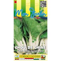 Chou de Chine Canton nain Pak Choi - 3g