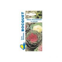 Chou d'ornement en mélange - 1g