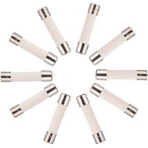 10x Fusible Temporisé (t) en céramique 10A / 250VAC 5x20mm - Choyclit