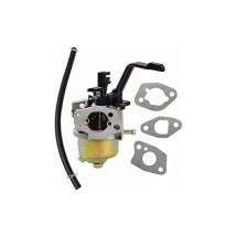 Carburateur am avec joint pour générateur Eberth 3000 - Choyclit