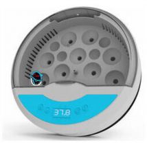 Choyclit - Couveuse oeuf automatique - Incubateur oeuf poule 9 – 12 oeufs avec contrôle de la température - idéal pour pour Volaille Caille Oie