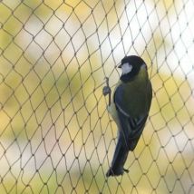 Filet anti oiseaux, 10 x 6 m de large, filet anti oiseaux, filet de protection solide pour bassin de jardin, pour fruits, légumes - Choyclit