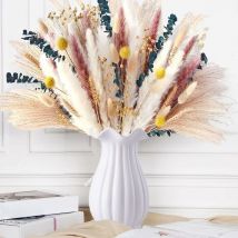 Choyclit - Pampa Séchées Naturelles Décoration, 115 Pièce Bouquet Fleurs Séchées Pampa Fleurs de Décoration Boho Decoration pour Maison, Mariage,