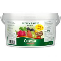 Chrysal Beeren und Obst Dünger - Aktion 2,5 kg + 500 g extra
