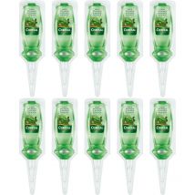 Chrysal Grünpflanzen und Palmen Vitalkur - 10x 30 ml