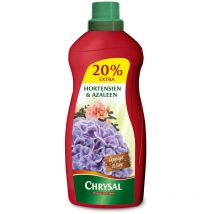 Hortensien & Azaleen Flüssigdünger - 1200 ml - Chrysal