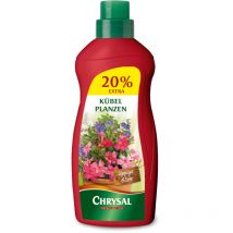 Spezialdünger für Kübelpflanzen - Flüssigdünger 1200 ml - Chrysal