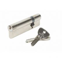 Cilindro serratura Bricard alpha L.30 + 70 mm Bricard