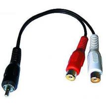 Fiche RCA vers couplage 2xCinch 0,2 m