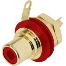 Cinch/RCA embase femelle, verticale Rean av NYS367-2 Nombre de pôles: 2 rouge 1 pc(s) D29763