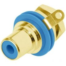 Cinch/RCA embase femelle, verticale Rean AV NYS367-6-CON Nombre de pôles: 2 bleu 1 pc(s) X37022