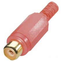 Cinch/RCA femelle, droit Bkl Electronic 0105006/T Nombre de pôles: 2 jaune 1 pc(s) D12749