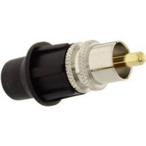 Telecom Security - Cinch/RCA mâle, droit kcm Nombre de pôles: 2 1 pc(s) Q820061