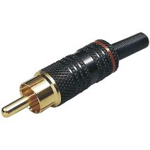 Bkl Electronic - 0101011 Cinch-Steckverbinder Stecker, gerade Polzahl: 2 Weiß 1 St.