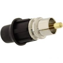 Kcm Cinch-Steckverbinder Stecker, gerade Polzahl: 2 1 St. - Telecom Security