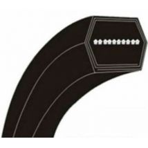 Cintura da taglio MTD 754-04174