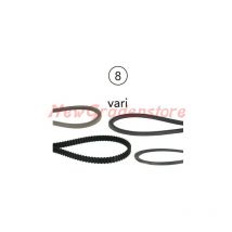 Cinghia trazione laterale cinghia piatta sandrigarden 23x922mm 203730 520041