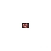 Leclubled - Cinta led 300 smd 3528 Red IP20 cerradura de 5 24W metros