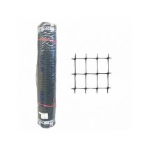 Filet Cintoflex h 200 m 100 Tenax