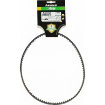 Cinturón de agarre x 120S8M800 Arnold