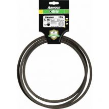 Cinturón de agarre x 4L880 Arnold