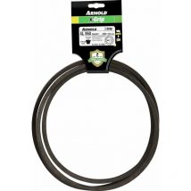 Cinturón de agarre x 4L950 Arnold