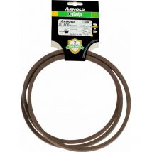 Cinturón X-Grip 4L800 Arnold