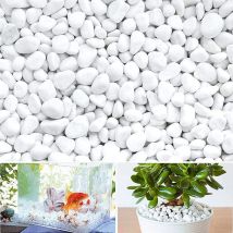 Ciottoli Di Marmo Carrara Bianco Mm.7/15 Kg 20