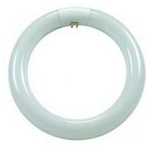 Bot Lighting - Circoline trifosforo fluorescenti t9 g10q - 22w - 6500°k fredda - 1200 lm - 210x30