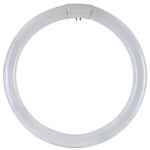 Circoline fluo trifosfori w32