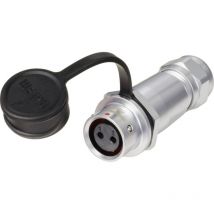 Circulaire femelle, droit ø 12 2 pôles 250 v/ac 13 a IP67 push-pull Weipu SF1211/S2 i