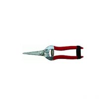 Ciseaux a' agrumes lame droite 19 cm faux pour vergers d'agrumes Poigne'es enduites de PVC avec fermeture en cuir