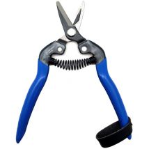 Ciseaux pour la récolte des fruits et légumes tico-m100 apple nules